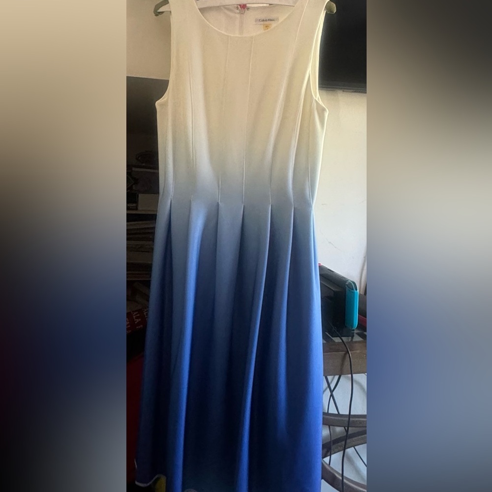 Blue and White Dress